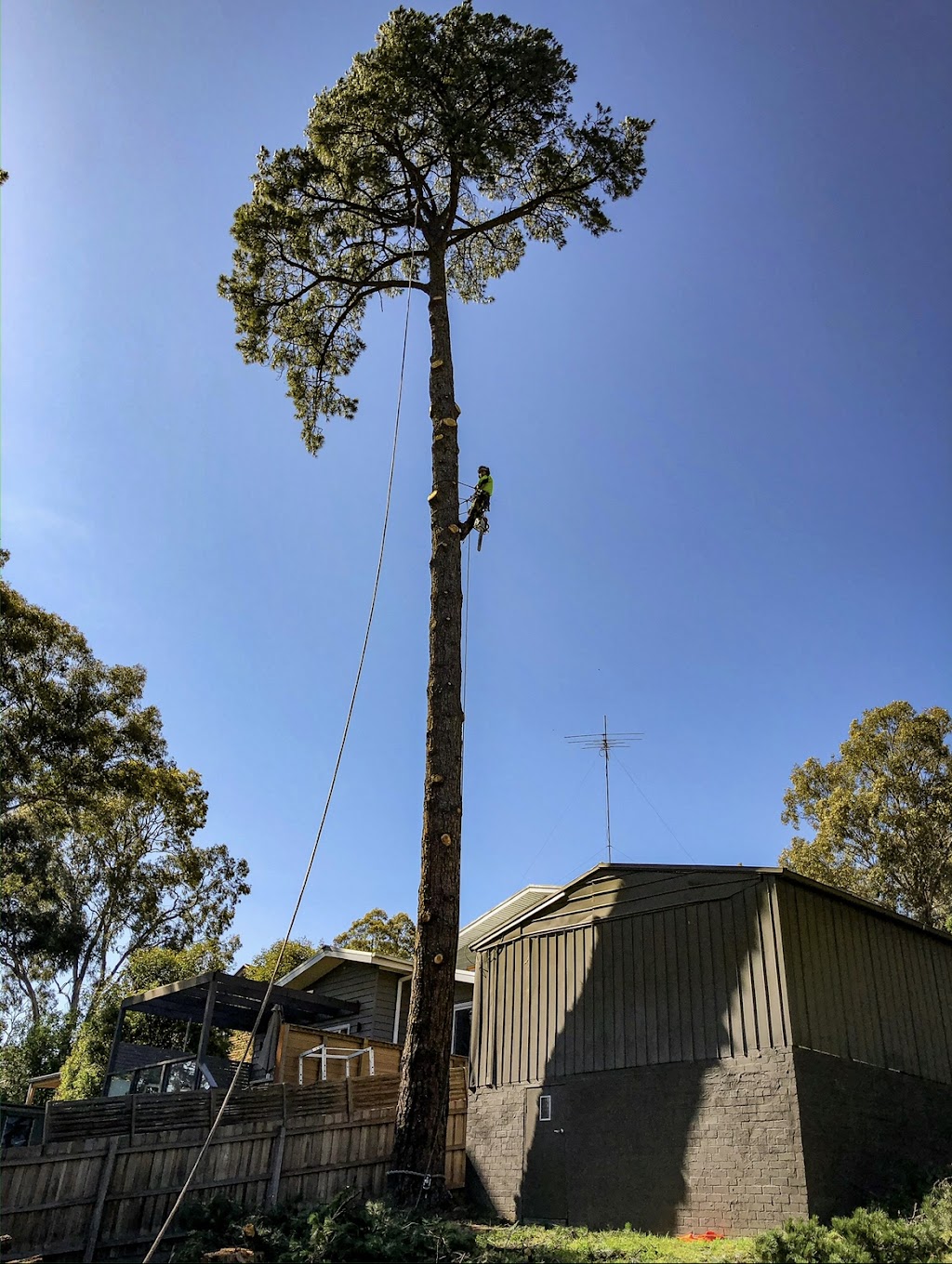 Melbourne Tree Specialists | Factory 4/182 Centre Rd, Narre Warren VIC 3805, Australia | Phone: 0448 168 753