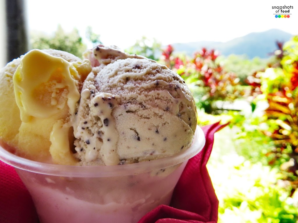 Daintree Ice Cream Company | store | 1819 Cape Tribulation Rd, Diwan QLD 4873, Australia | 0740989114 OR +61 7 4098 9114