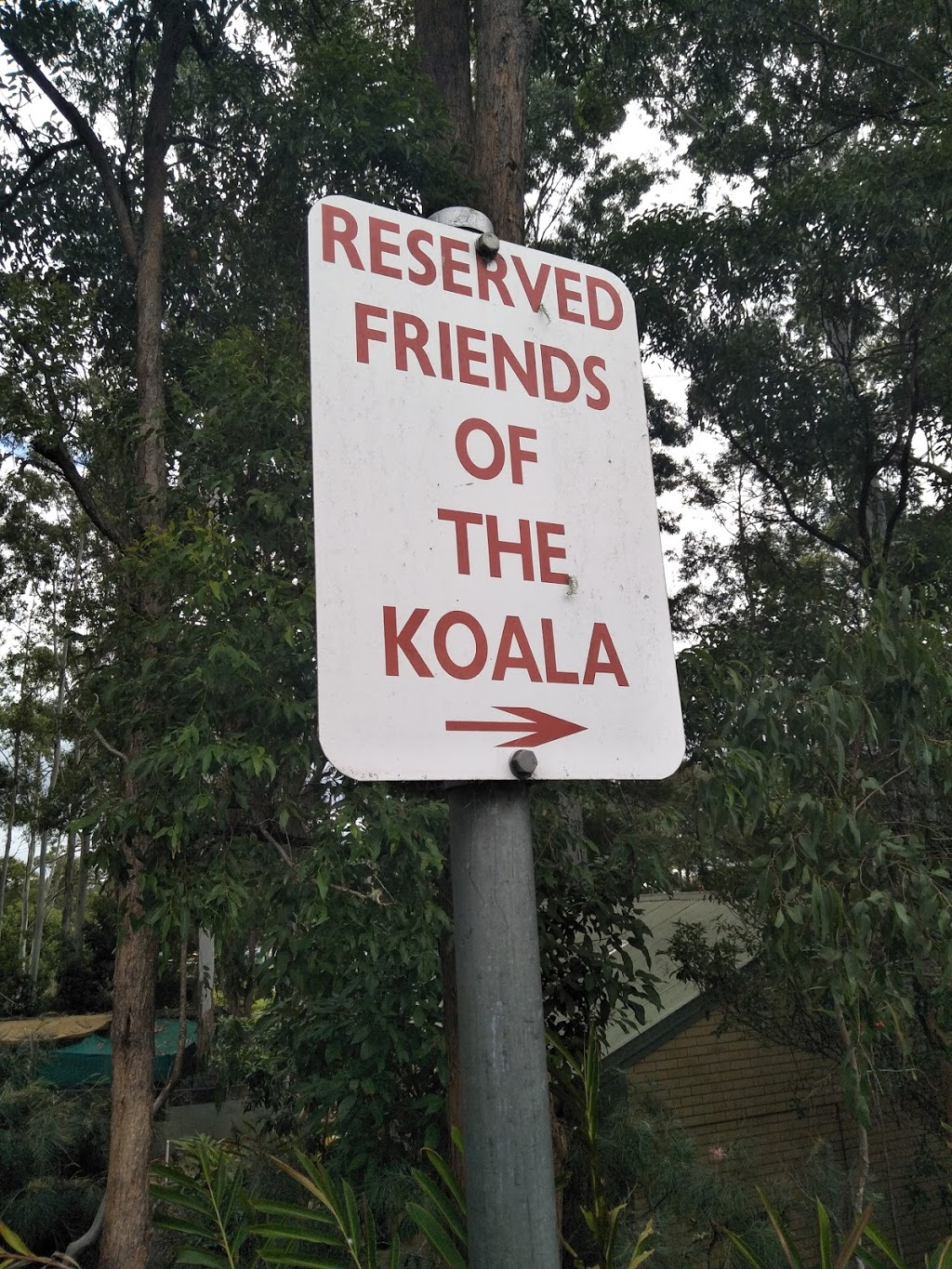 Friends of the Koala |  | Rifle Range Rd, East Lismore NSW 2480, Australia | 0266221233 OR +61 2 6622 1233