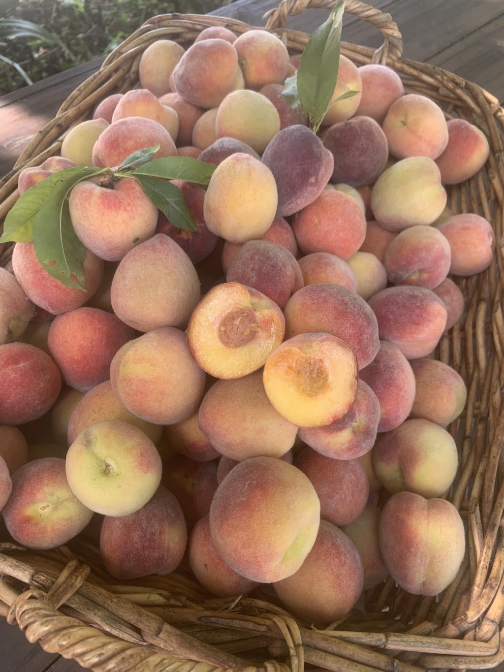 Beech Mountain Trading Post | 713 Beechmont Rd, Lower Beechmont QLD 4211, Australia | Phone: 0459 409 632