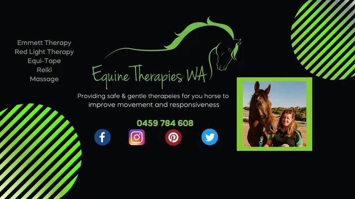Equine Therapies WA | 1320 Stone St, Chidlow WA 6556, Australia | Phone: 0459 784 608