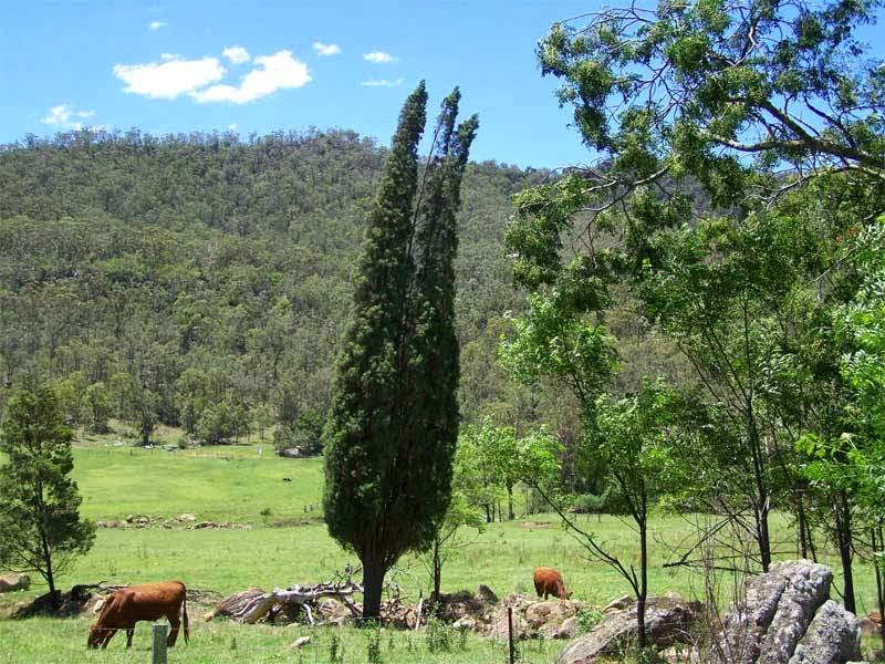 Rosamund and Rosa self contained holiday Houses | 363 Wollombi Rd, Broke NSW 2330, Australia | Phone: (02) 8840 2852