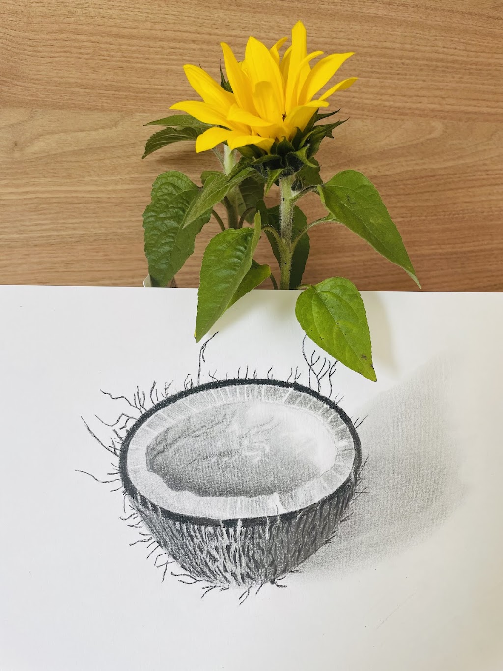 Nivis Art Studio | 92 Bolwarra Dr, Marsden Park NSW 2765, Australia | Phone: 0481 975 819