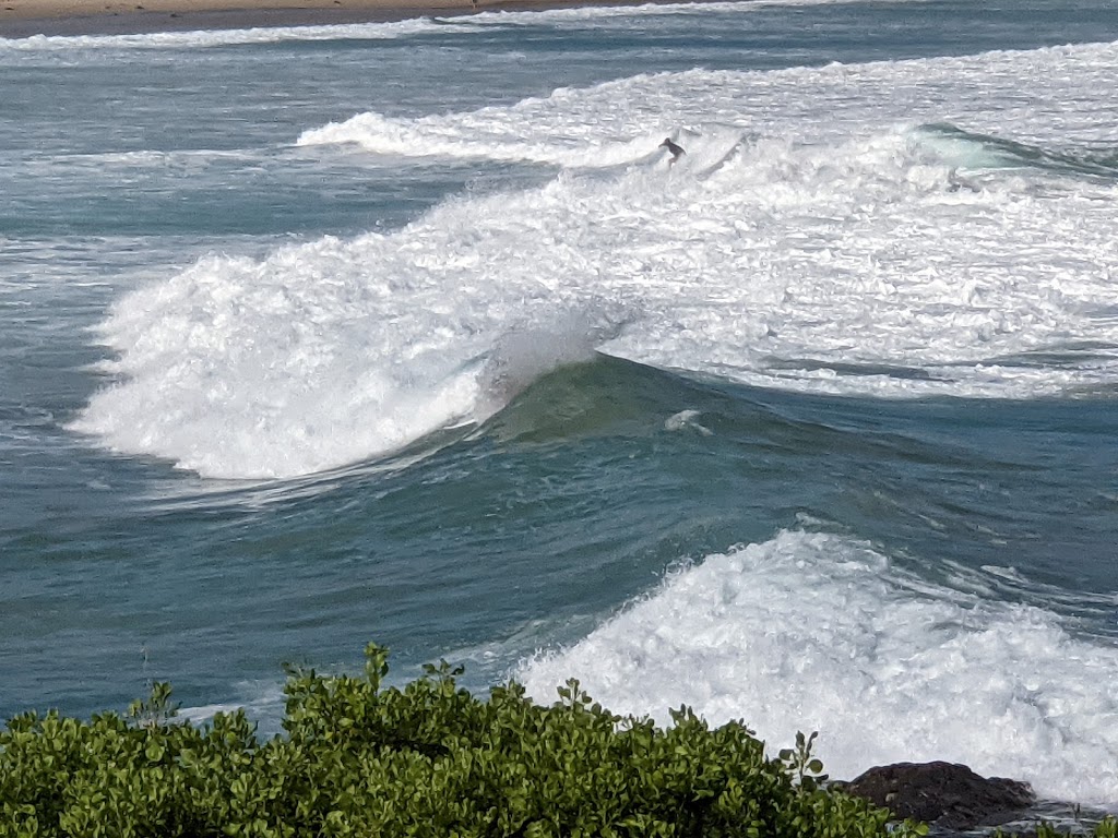 The Farm, Killalea National Surfing Reserve | park | Unnamed Road, Shell Cove NSW 2529, Australia