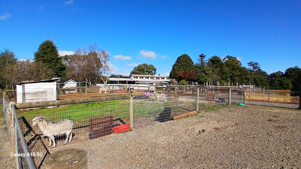 Forever Friends Animal Rescue | PLEASE NOTE: Open by appointment or pre-arrangement only, 680 Hazeldene Rd, Gladysdale VIC 3797, Australia | Phone: 0412 618 718