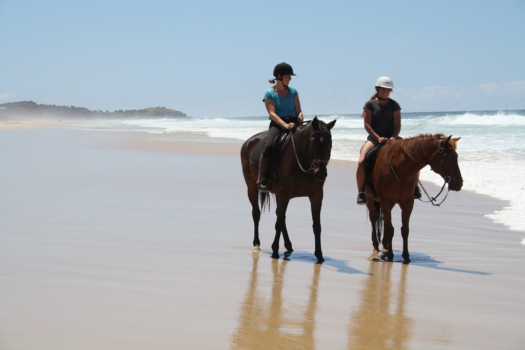 Port Macquarie Horse Riding Centre | 10 Winery Dr, Port Macquarie NSW 2444, Australia | Phone: 0487 004 483