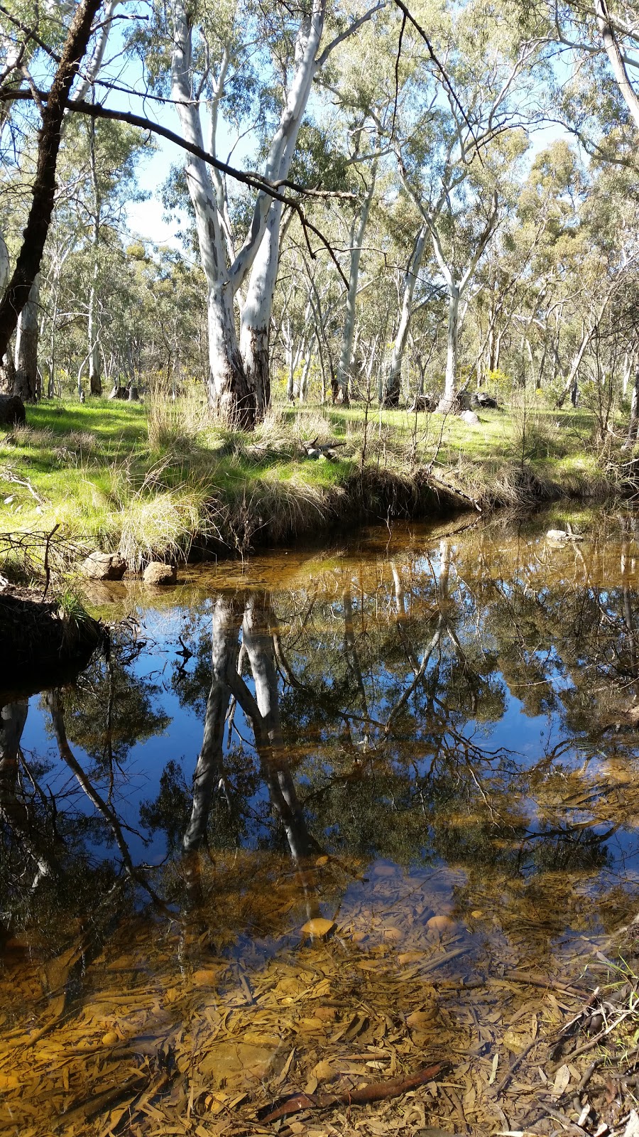 Ippinitchie Camp Grounds | park | Wirrabara SA 5481, Australia