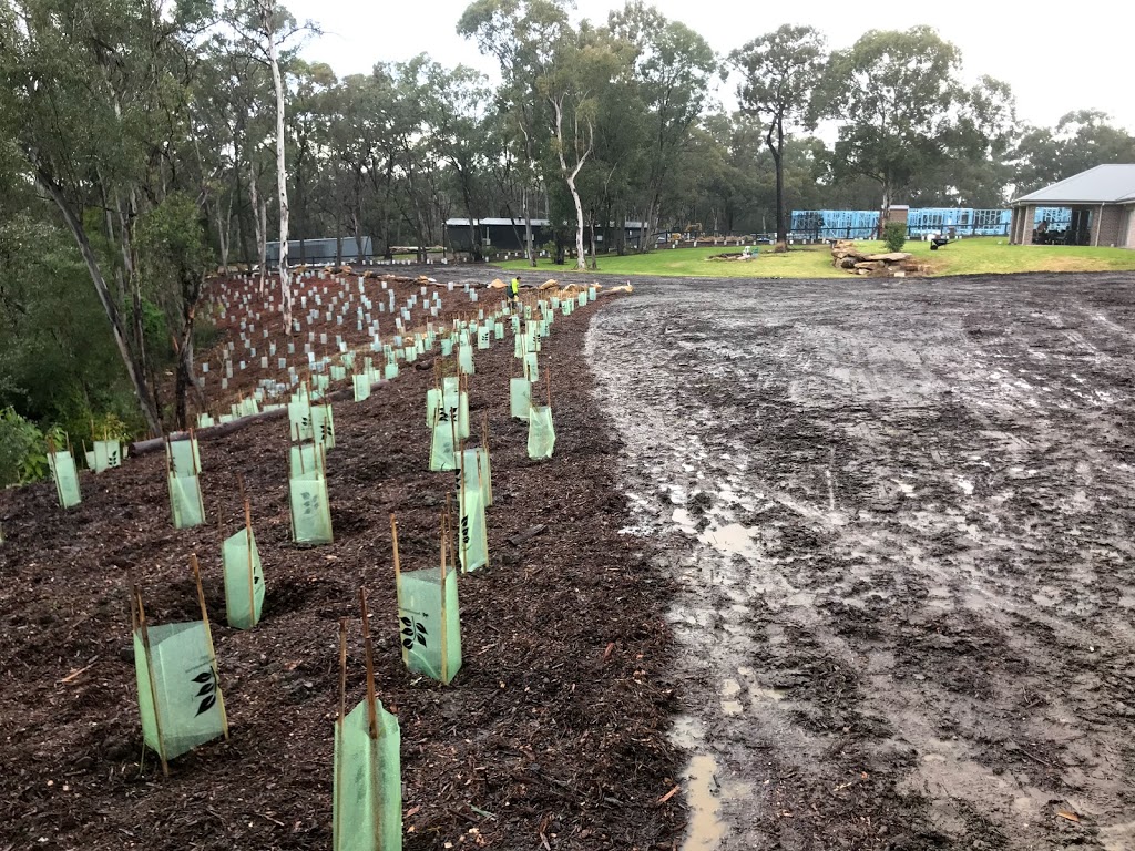 BARRC - Bushland And Rainforest Restoration & Consulting | 8 Pinnacle Pl, Somersby NSW 2250, Australia | Phone: 0414 395 419