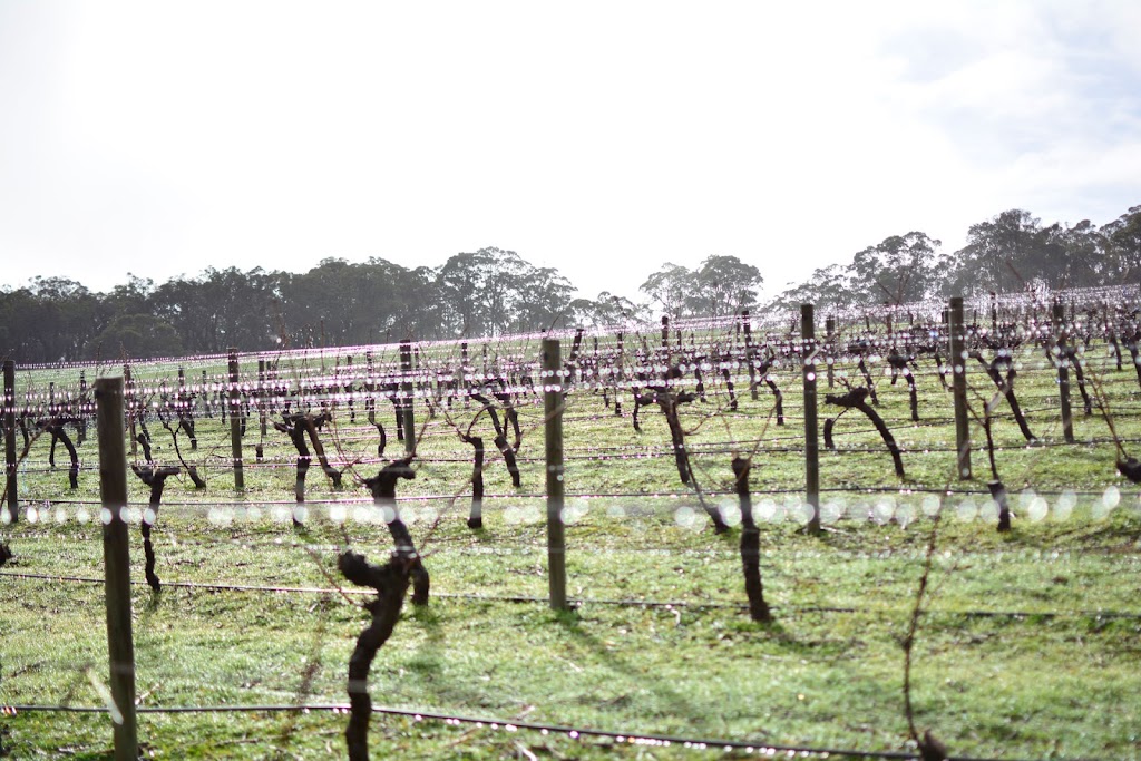 Jingalla Wines | 49 Bolganup, Dam Road, Porongurup WA 6324, Australia | Phone: (08) 9853 1023