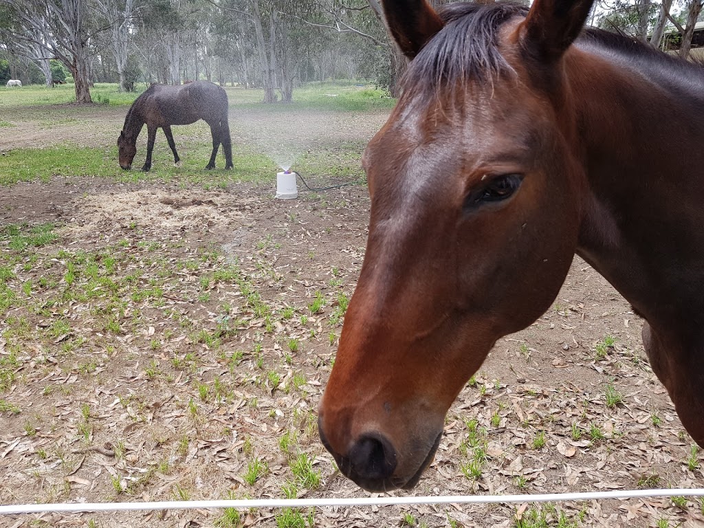 Riding for the Disabled Association (NSW) - Nepean Centre | 18 Samuel Marsden Rd, Orchard Hills NSW 2748, Australia | Phone: (02) 9623 4173