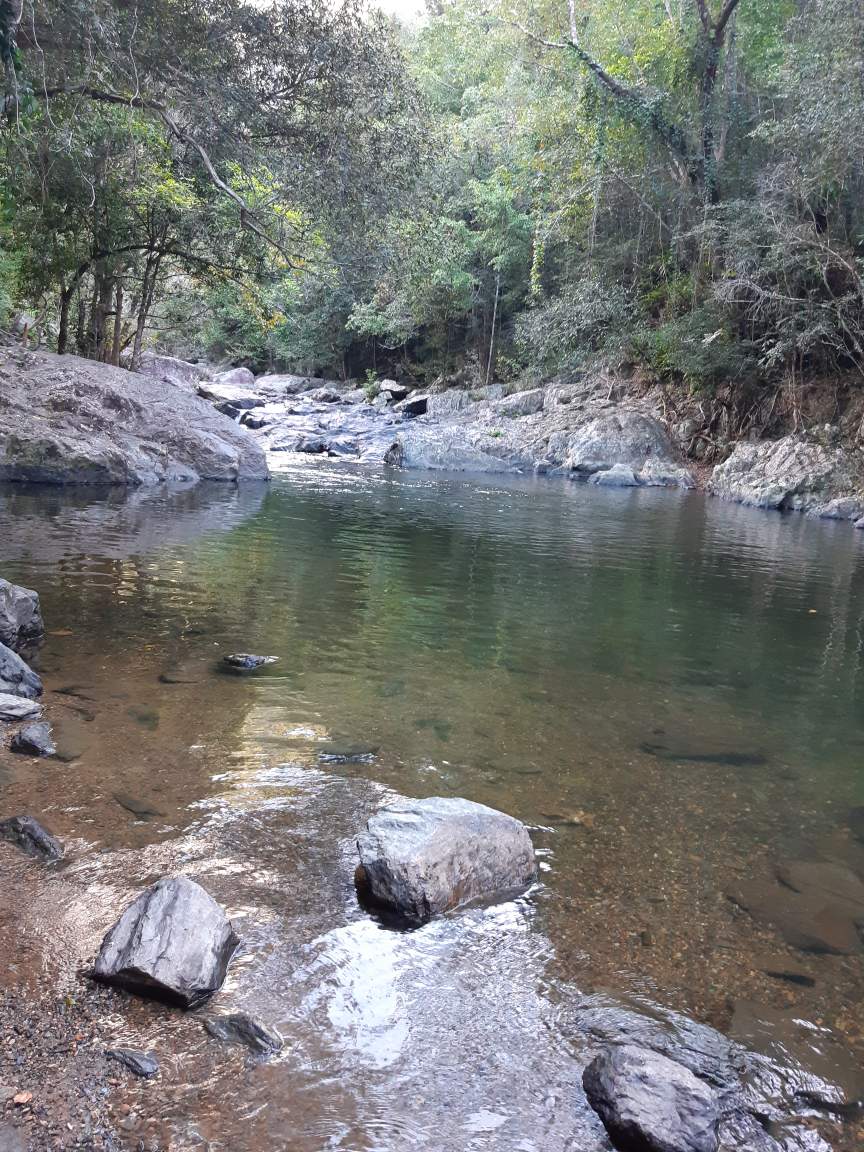 Deasy Consultancy Services | 49 St Georges Cres, Faulconbridge NSW 2776, Australia | Phone: 0490 033 076