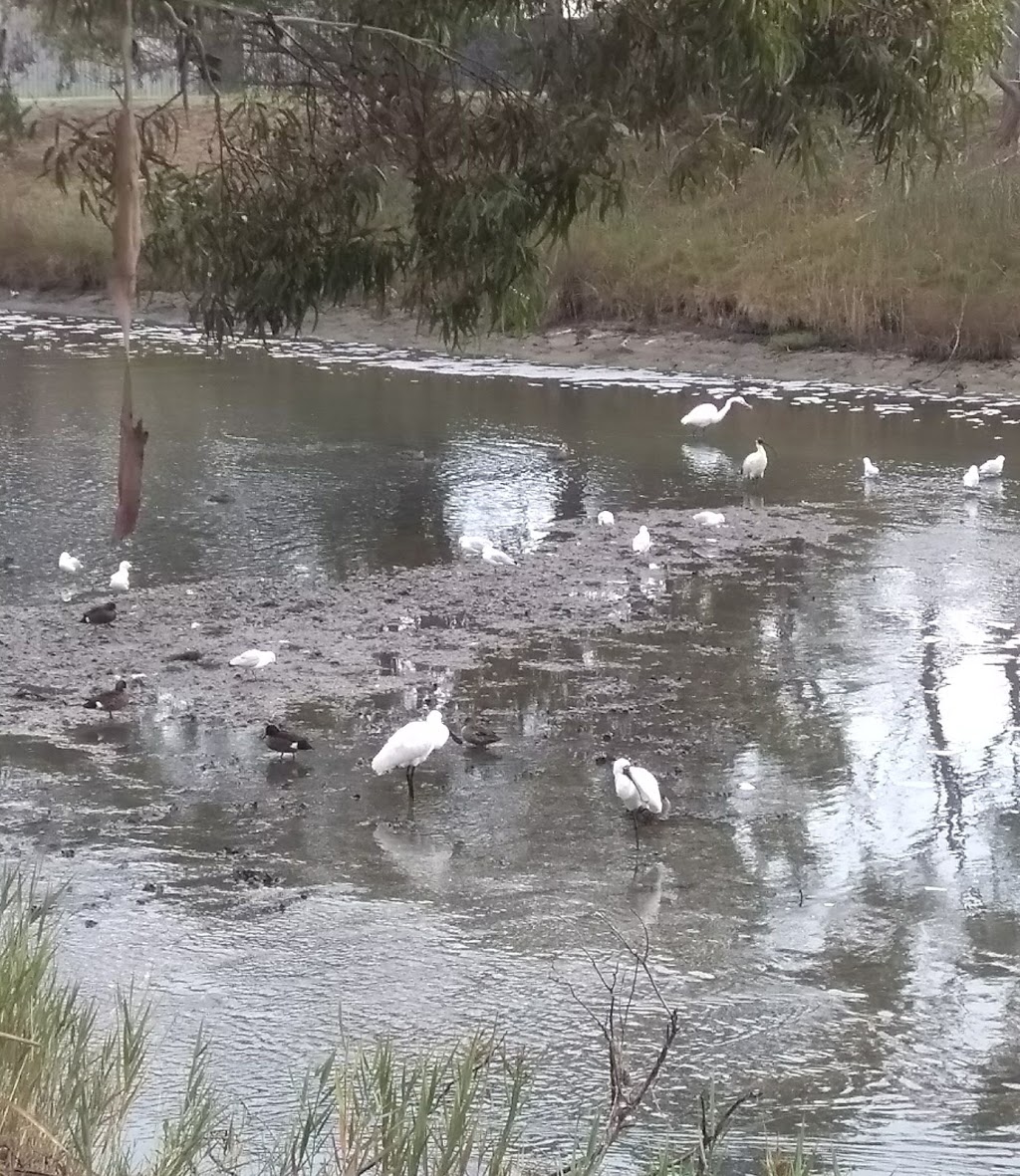 Seaford Wetlands | park | Seaford Wetlands Reserve, 43R Austin Rd, Seaford VIC 3198, Australia | 1300322322 OR +61 1300 322 322