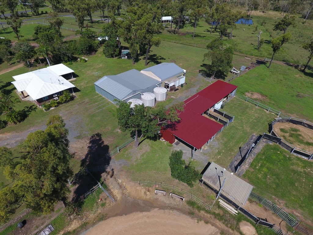 HPH Horses |  | 46 Mulara Rd, Bondoola QLD 4703, Australia | 0423827089 OR +61 423 827 089