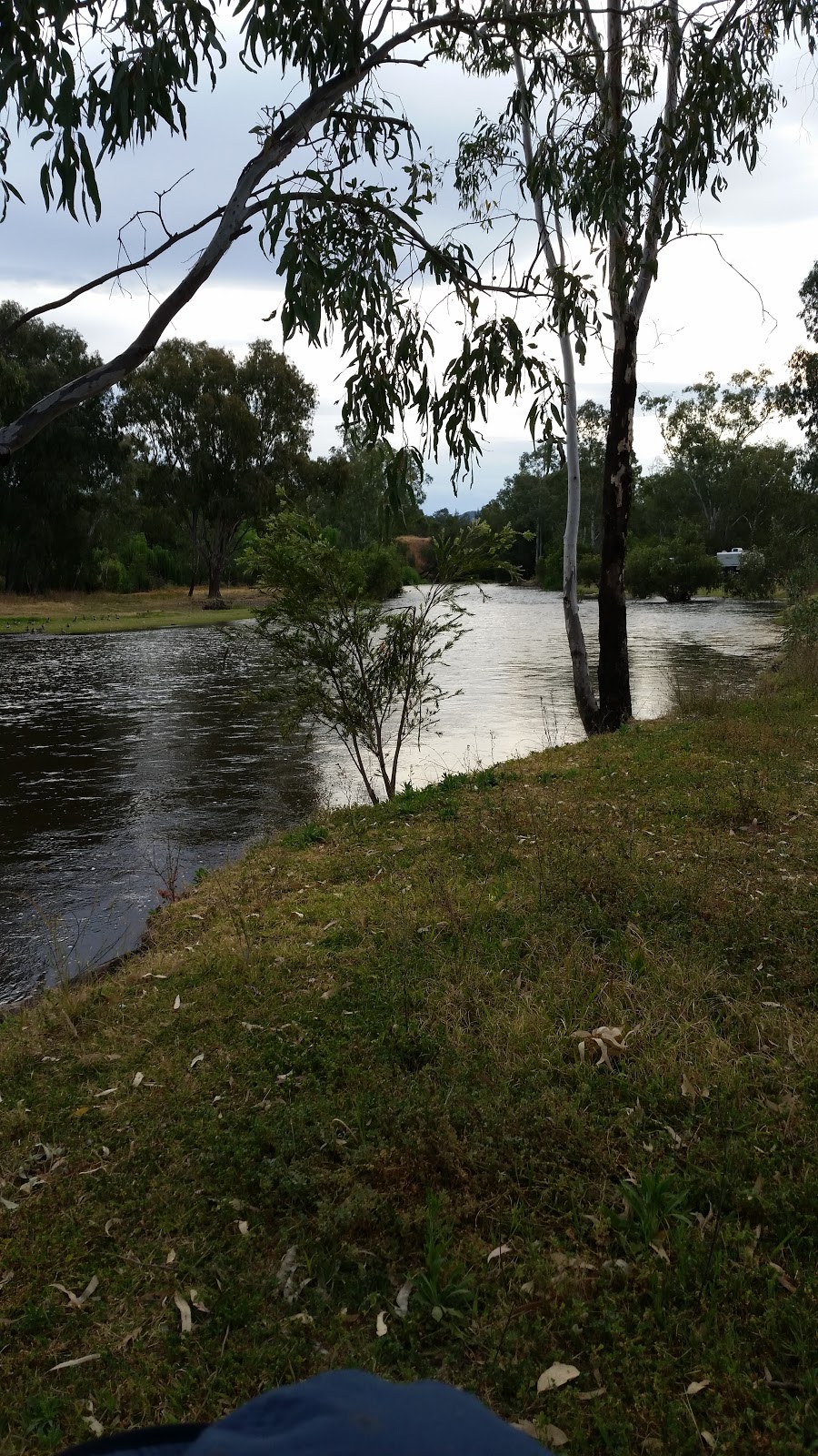 Bingara Bicentenary Park | park | 1 White St, Bingara NSW 2404, Australia