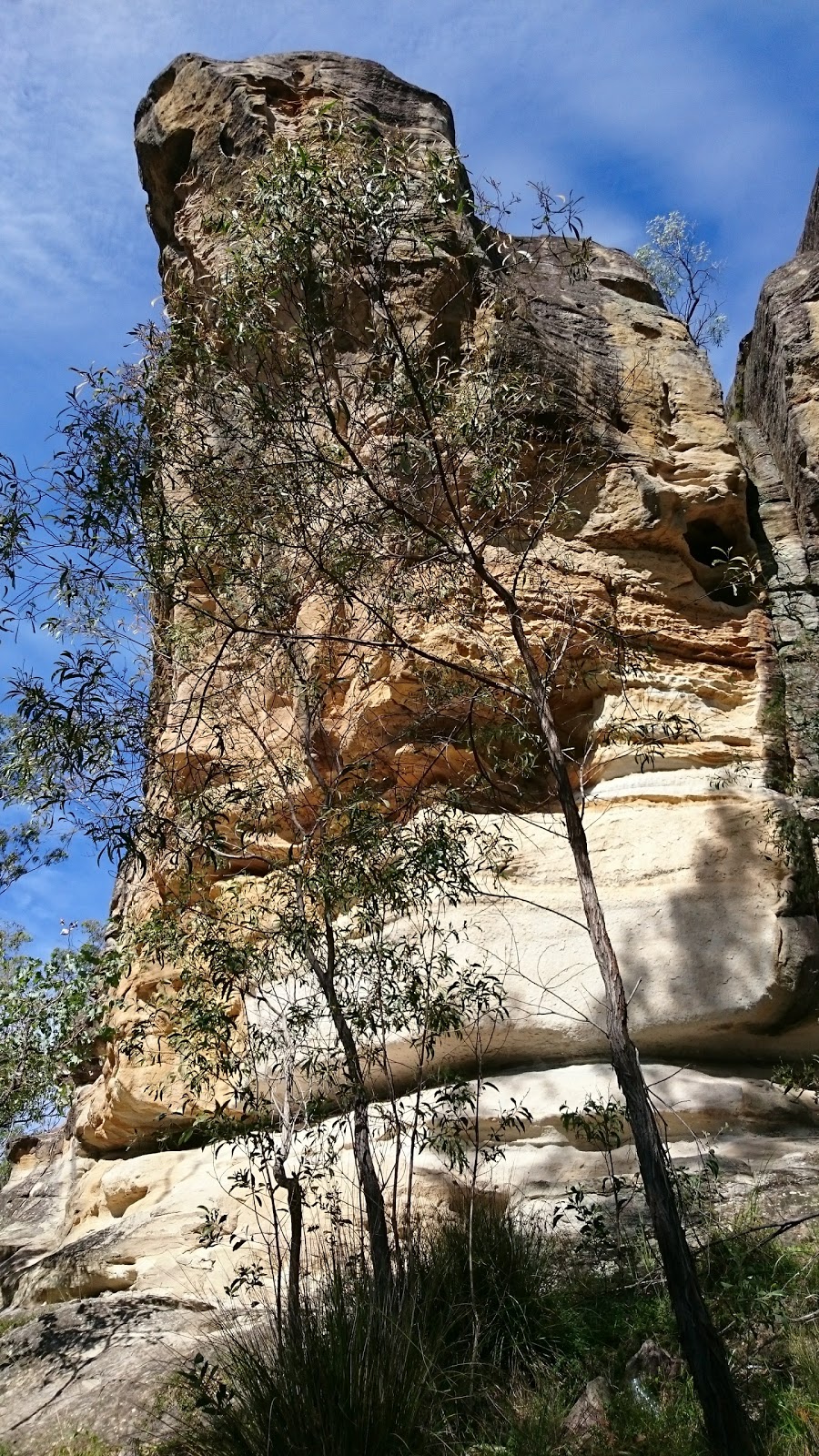 White Rock Conservation Area | park | School Rd, White Rock QLD 4306, Australia | 0738106810 OR +61 7 3810 6810