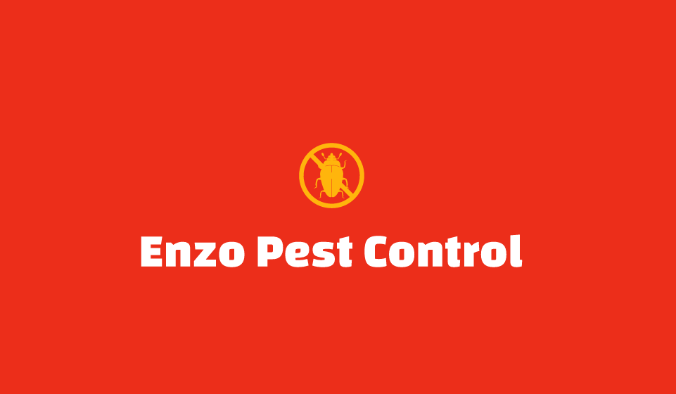 Enzo Pest Control Heathwood | 18 en Lorimer Terrace, Kelvin Grove QLD 4059, Australia | Phone: (07) 3521 8567