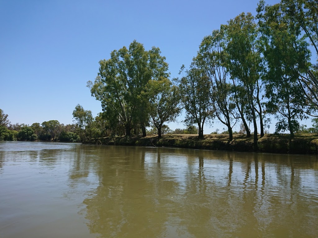 Murray River Canoe Hire | store | 301 Macauley St, Albury NSW 2640, Australia | 0417691339 OR +61 417 691 339