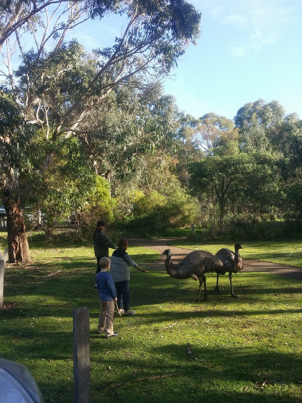 Tower Hill Park Boundary | Entrance Rd, Tower Hill VIC 3283, Australia