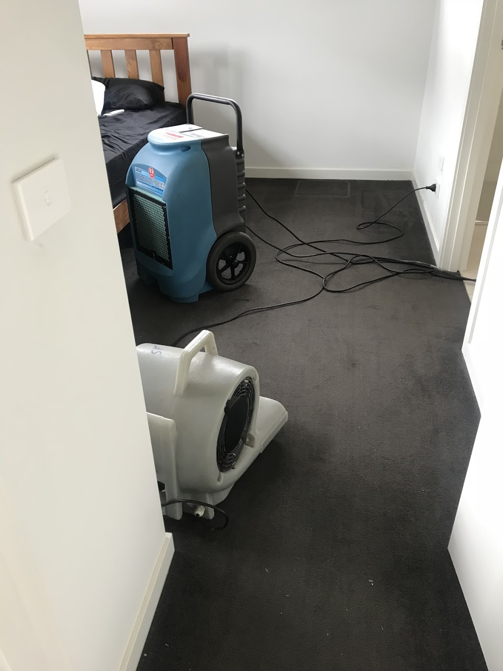 Top Carpet Cleaners Water & Flood Damage Repair, Wet Carpet Clea | 1/82 Fulton St, Clayton VIC 3168, Australia | Phone: 0413 943 154