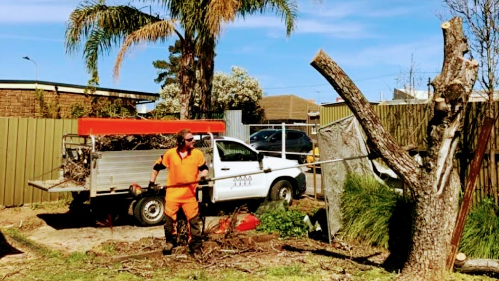 FTGU Tree Services | 10 Brigadoon St, Happy Valley SA 5159, Australia | Phone: 0439 464 935