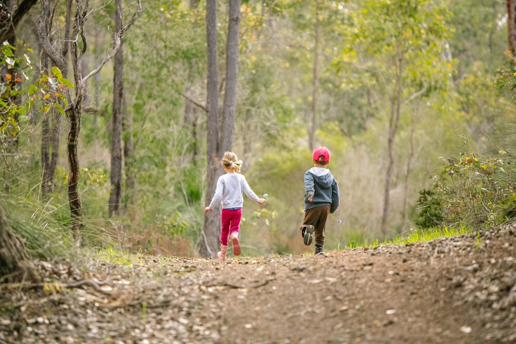 Chiropractic First | 55 Throssell St, Collie WA 6225, Australia | Phone: (08) 9734 4800