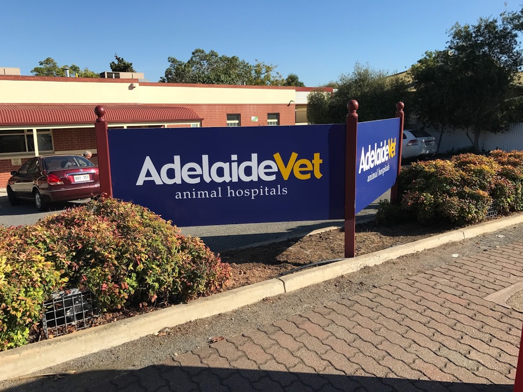 AdelaideVet Prospect | 318 Prospect Rd, Prospect SA 5082, Australia | Phone: (08) 8169 9733
