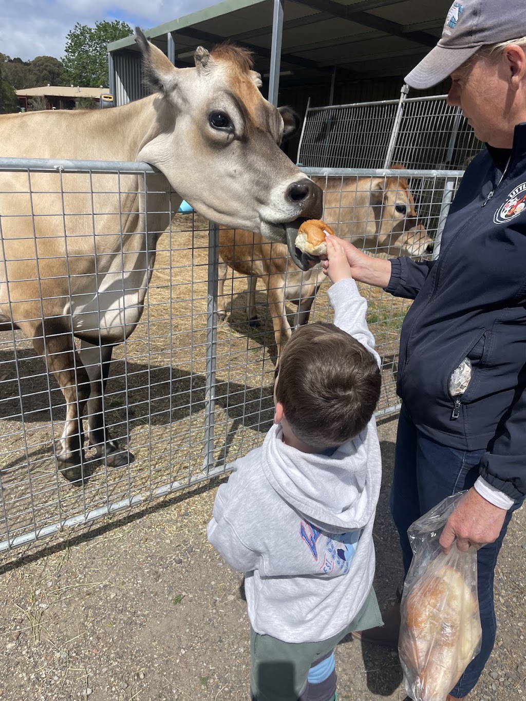 Little Farm Plays | 170 Thewlis Rd, Pakenham VIC 3810, Australia | Phone: 0409 197 969