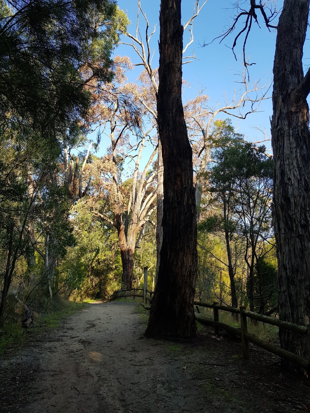 Edward Hunter Heritage Bush Reserve | park | Moe VIC 3825, Australia | 1300367700 OR +61 1300 367 700