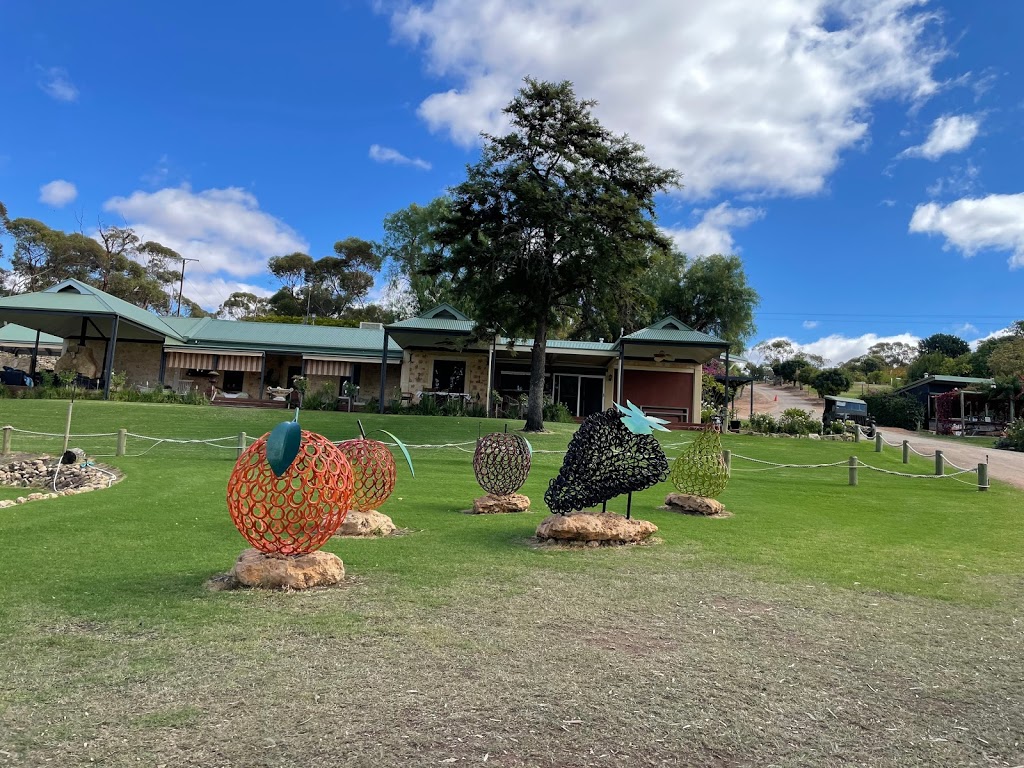 Caudo Vineyard | tourist attraction | Hogwash Bend Conservation Park, Cadell SA 5321, Australia | 0418715661 OR +61 418 715 661