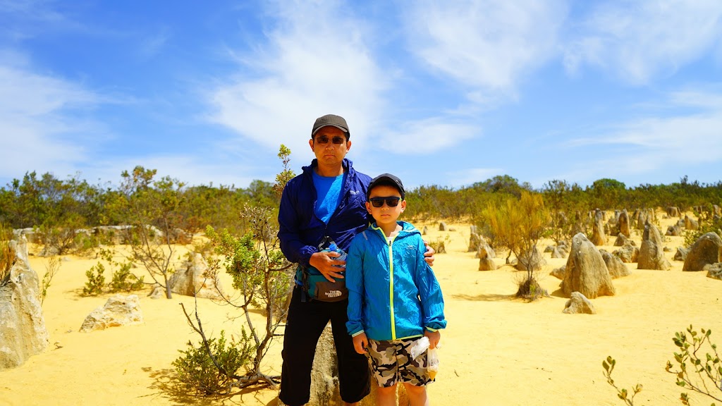 The Pinnacles Desert | tourist attraction | Pinnacles Dr, Cervantes WA 6511, Australia | 0896527913 OR +61 8 9652 7913