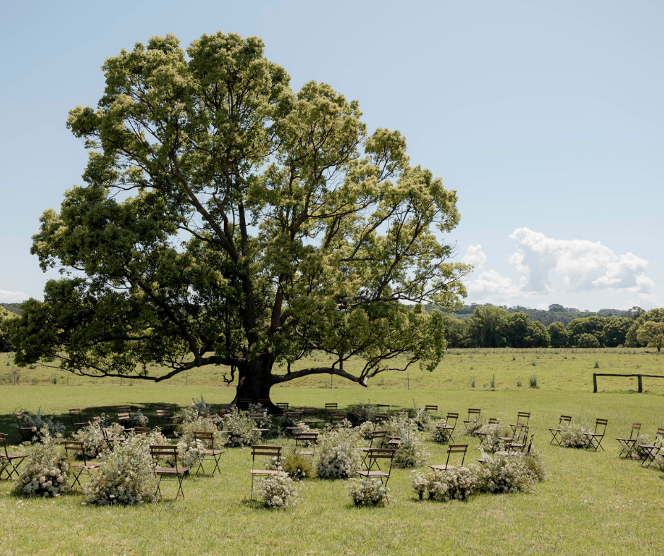 Weddings at Fridas Field | 76 Booyong Rd, Nashua NSW 2479, Australia | Phone: 0434 497 117