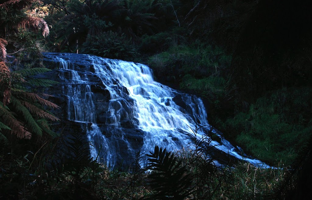 Preston Falls | tourist attraction | Raymond Rd, Preston TAS 7315, Australia | 0364298900 OR +61 3 6429 8900