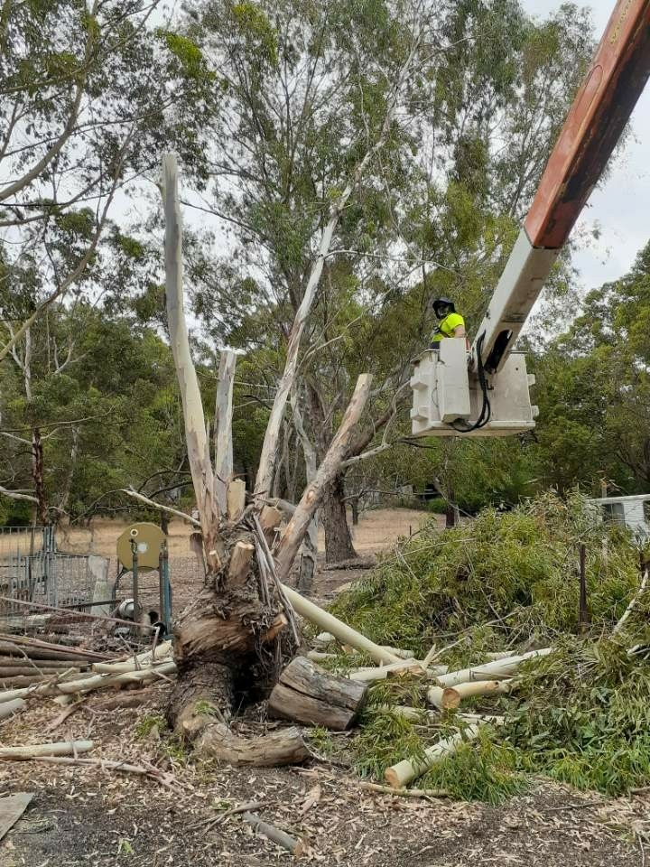 Avon Hills Tree Solutions |  | Withnell St, Northam WA 6401, Australia | 0499484360 OR +61 499 484 360