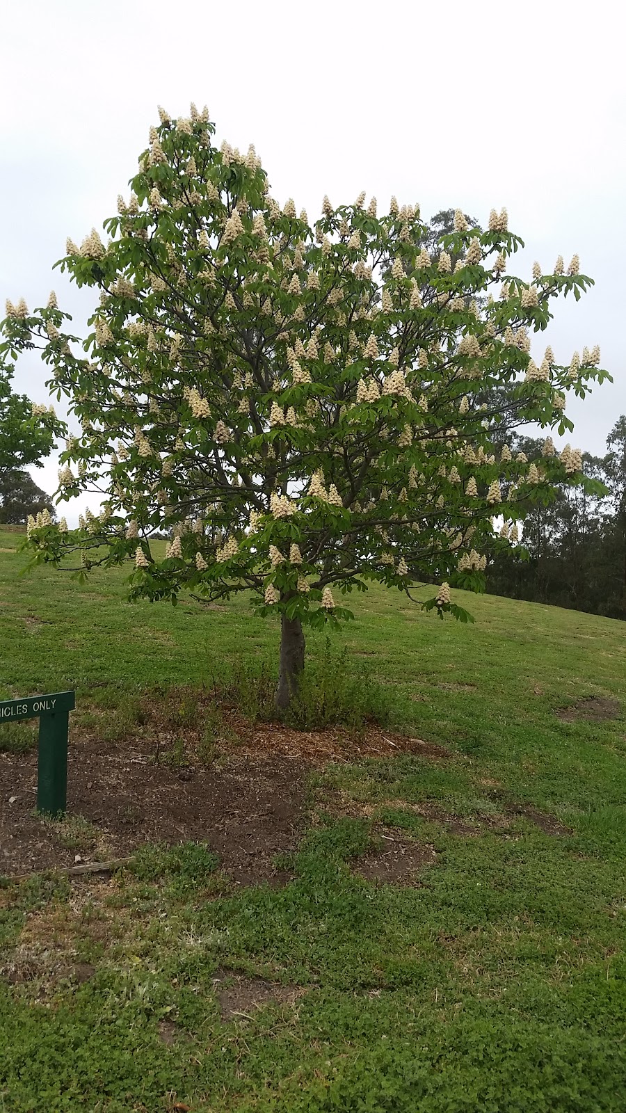 Middle Gorge Park | park | Yarrambat VIC 3091, Australia