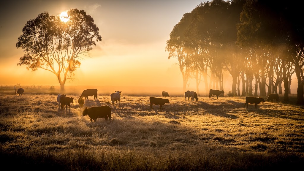 AGTECH360 | 297 Spring Creek Rd, Cement Mills QLD 4352, Australia | Phone: (07) 3205 5524