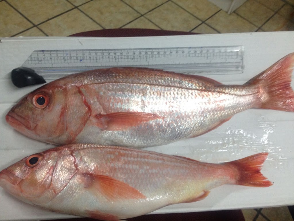 Mandurah Seafoods | Butcherbird Loop, Erskine WA 6201, Australia | Phone: 0405 939 111