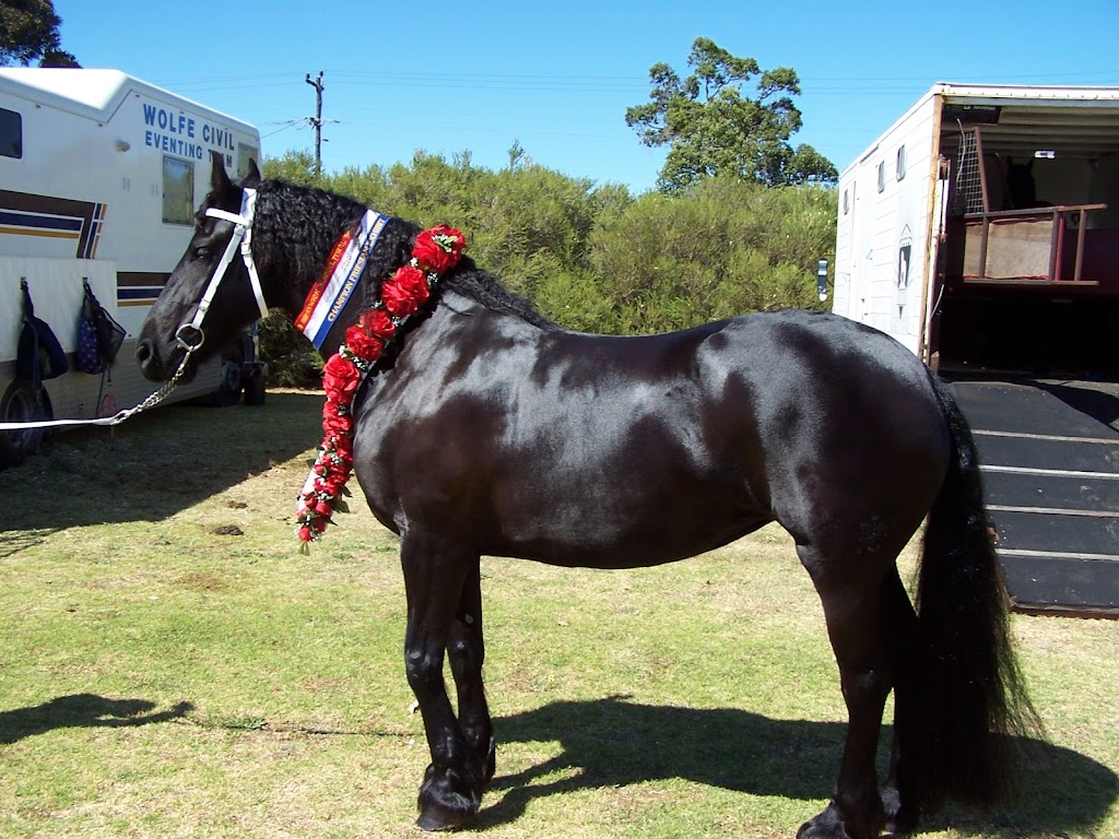 Antyk Equestrian Service | 1498 Greenbushes-Boyup Brook Rd, Catterick WA 6255, Australia | Phone: 0407 427 536