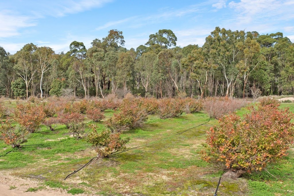 Stoneville Blueberry Farm | 240 Blue Wren Pl, Stoneville WA 6081, Australia | Phone: (08) 9295 0767