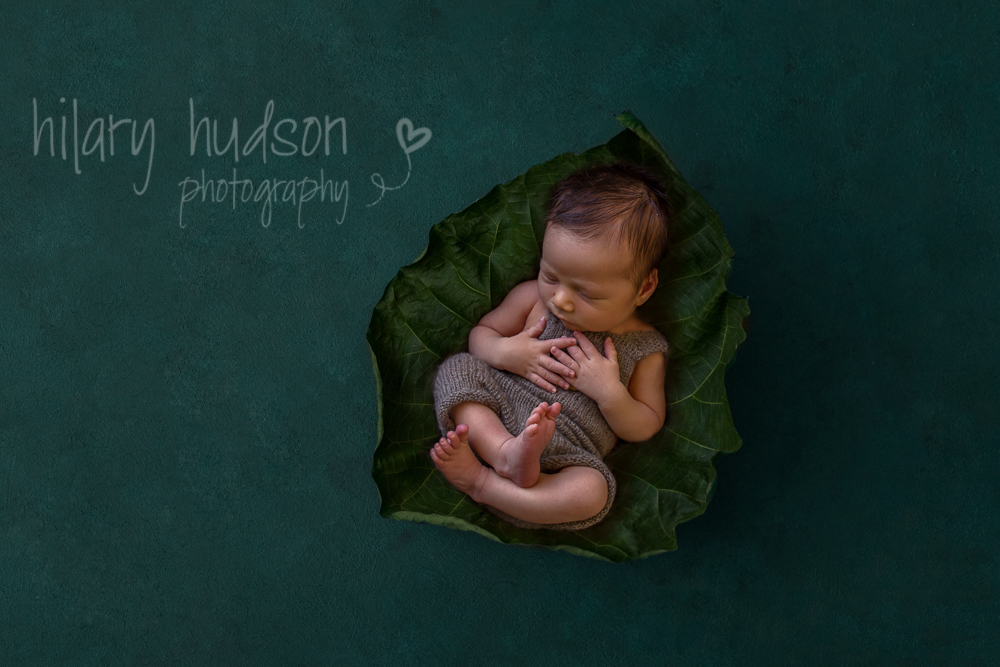 Hilary Hudson Photography | 48-54 Hazel Rd, Tamborine QLD 4270, Australia | Phone: 0406 771 544