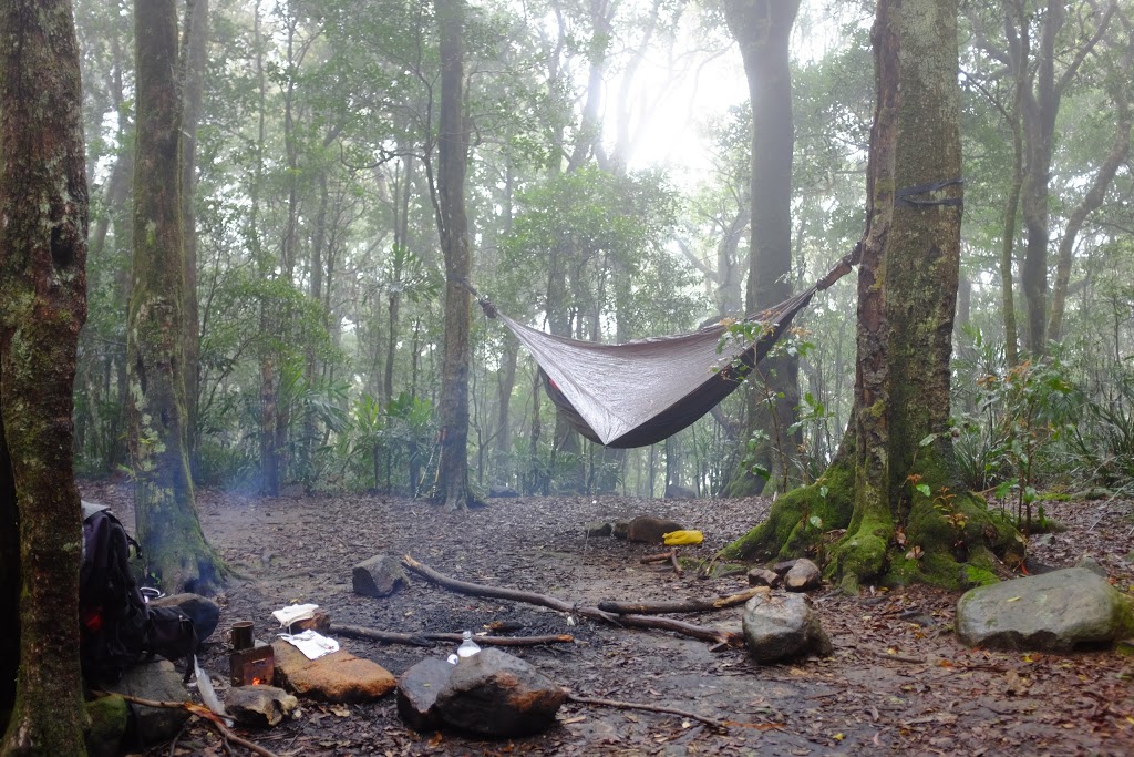 Rum Jungle Camping Area | campground | Mount Barney QLD 4287, Australia | 137468 OR +61 137468