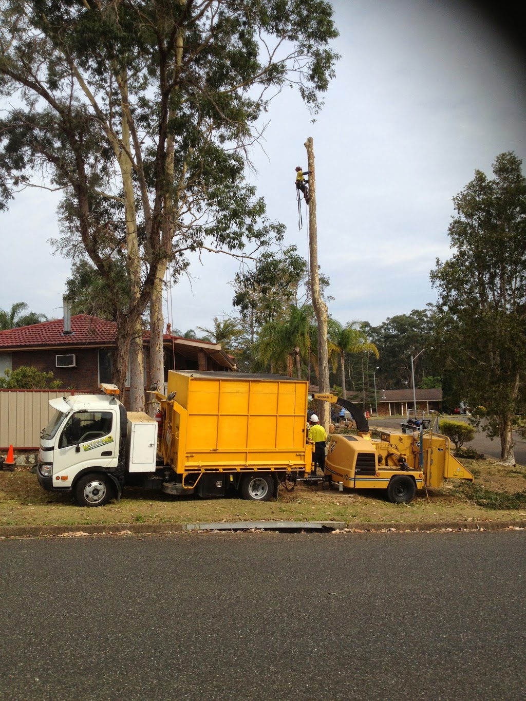 Valley Tree Works pty limited | general contractor | 8 Tocal Rd, Bolwarra Heights NSW 2320, Australia | 0409910499 OR +61 409 910 499