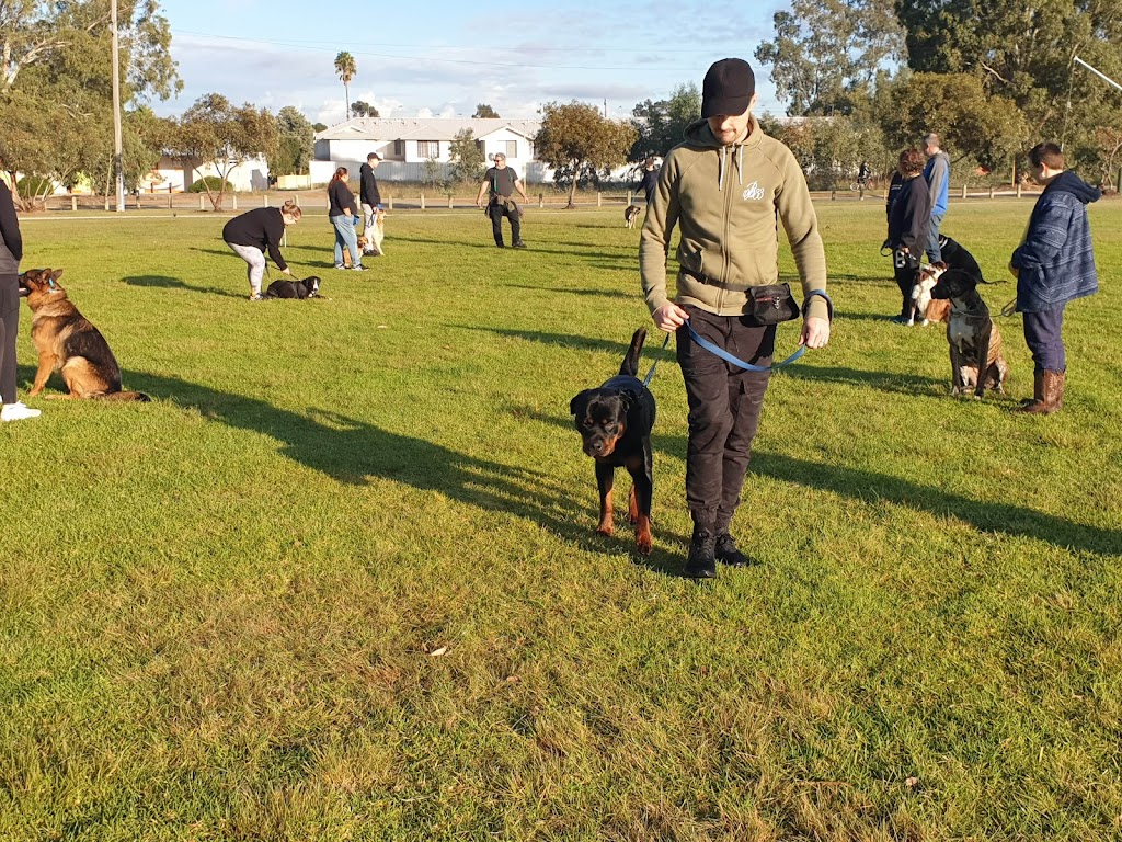 Complete Canine Training Solutions | Pioneer Park, Dawson Ave, Forrestfield WA 6058, Australia | Phone: 0400 818 711