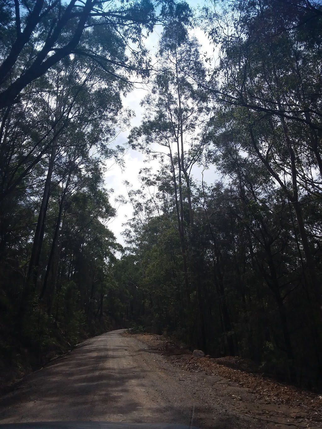 Watagans National Park | Mount Faulk Rd, Cooranbong NSW 2265, Australia | Phone: (02) 4972 9000