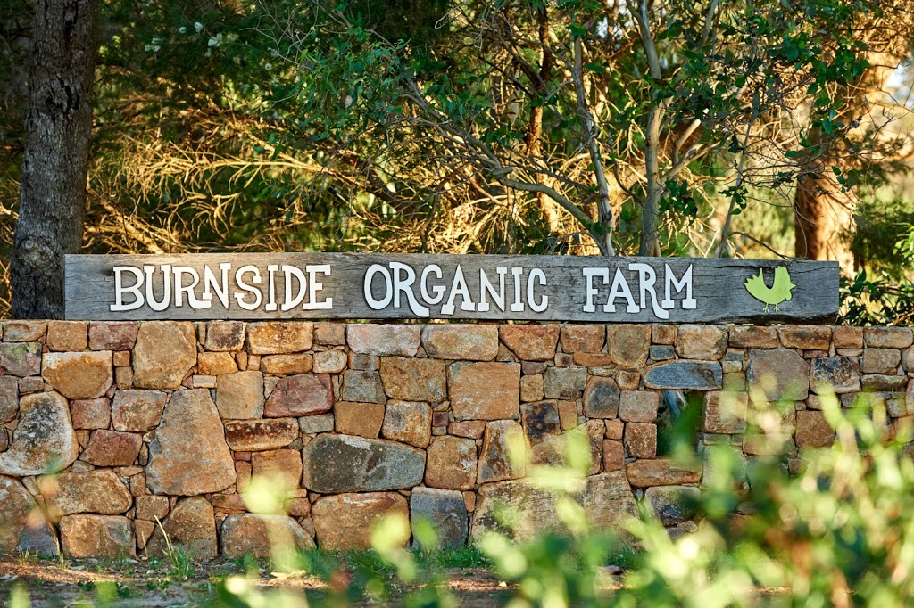 Burnside Organic Farm | lodging | 287 Burnside Rd, Margaret River WA 6285, Australia | 0897572139 OR +61 8 9757 2139