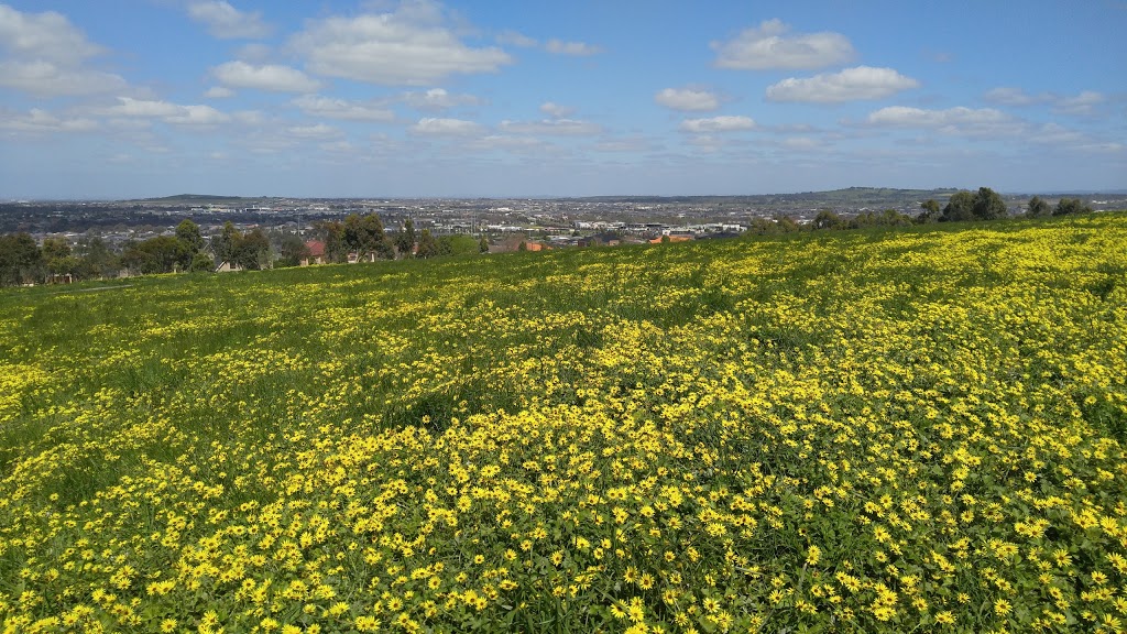 Mount Ridley Lookout | park | 90 Mt Ridley Rd, Mickleham VIC 3064, Australia | 0392052200 OR +61 3 9205 2200
