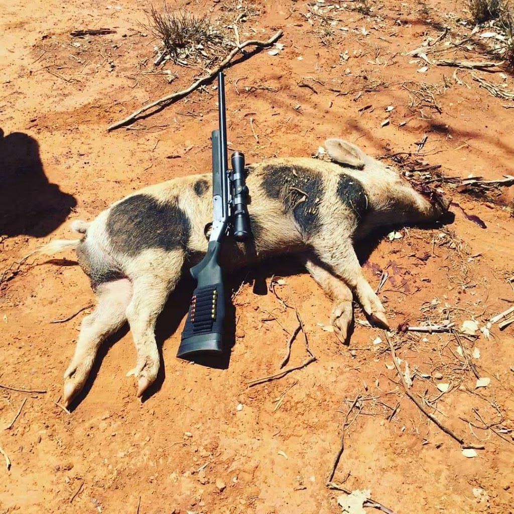 Wandibindle Self guided hunting | Wandibindle, Wandibindle Road, Talwood QLD 4496, Australia | Phone: (07) 4625 9658