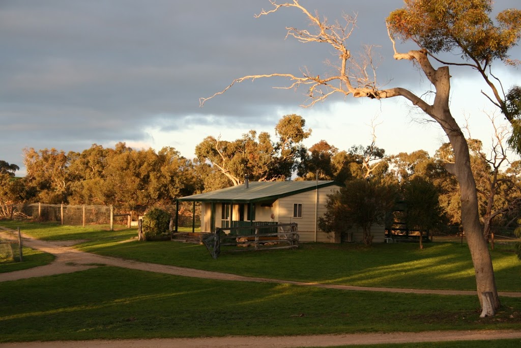 Cockatoo Downs Farmstay | lodging | Eckert Rd, Brimbago SA 5267, Australia | 0887567042 OR +61 8 8756 7042