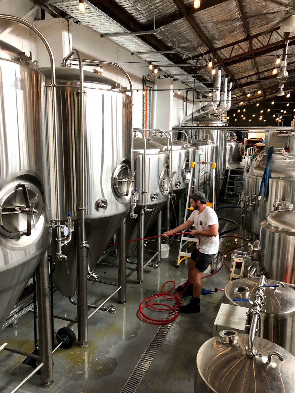 Sea Legs Brewing Co | 89 Main St, Kangaroo Point QLD 4169, Australia | Phone: 0480 178 695