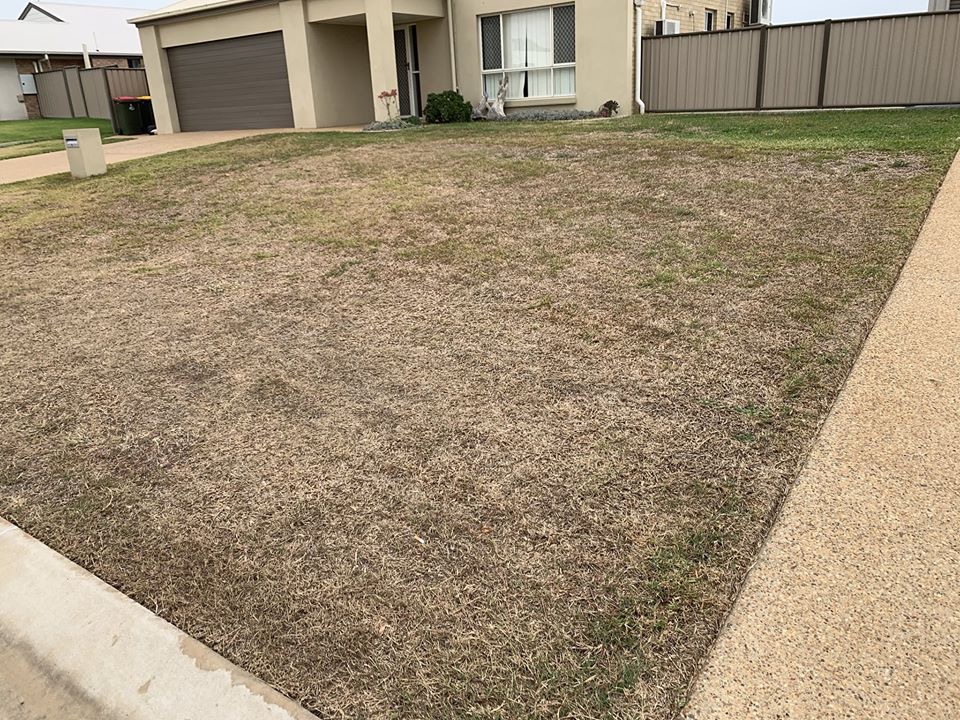 Tailored Lawn Services | 8 Rosebrook Pl, Gracemere QLD 4702, Australia | Phone: 0413 594 113