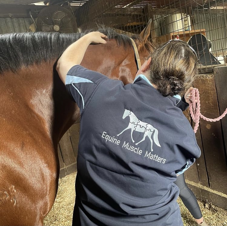 Equine Muscle Matters | 110-118 Attunga Rd, Greenbank QLD 4124, Australia | Phone: 0404 952 036